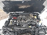 1C4HJXFG1KW****** Reparables 2019 Jeep Wrangler en Missoula