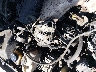4T1BG22KXWU****** Repairable 1998 Toyota Camry in California State