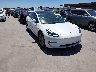 5YJ3E1EB6MF****** Salvage and Wrecked 2021 Tesla Model 3 in Electric Vehicle Auctions