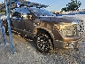 1N6BA1F25GN****** Salvamento y Destrozados 2016 Nissan Titan en Corpus Christi