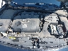 1N4AA5AP7BC****** Repairable 2011 Nissan Maxima in Jacksonville