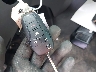 1FTYE2Y87LK****** Salvage 2020 Ford Transit 150 in Massachusetts State