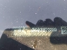 1FTYR3XMXKK****** Wrecked 2019 Ford Transit 250 in Lake City