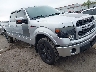 1FTFW1ETXDF****** Salvage and Wrecked 2013 Ford F-150 in Detroit