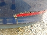 5NPD84LF4HH****** Repairable 2017 Hyundai Elantra