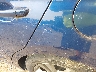 5NPD84LF4HH****** Salvage and Wrecked 2017 Hyundai Elantra in Baltimore
