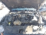 1FA6P8CF5K5****** Repairable 2019 Ford Mustang in Pensacola