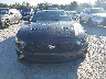 1FA6P8CF5K5****** Used 2019 Ford Mustang in Florida State