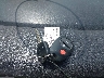 5TDZK3DC0FS****** Salvage 2015 Toyota Sienna in Tennessee State