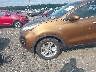 KNDPMCAC6H7****** Salvamento y Reparables 2017 Kia Sportage en Estado de Maryland