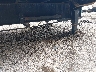 58SGB4024NE****** Reparables 2022 East Texas Trailers 40' Flatbed Gooseneck en Estado de Indiana