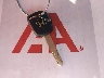 5FNRL38676B****** Salvage 2006 Honda Odyssey in Texas State