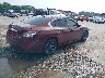 1N4AA5AP8CC****** Salvage and Wrecked 2012 Nissan Maxima in Maryland State