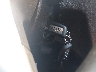 JN8AT2MV8HW****** Salvamento 2017 Nissan Rogue en Estado de Connecticut