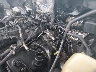 1FTFW1ET5BF****** Salvage 2011 Ford F-150
