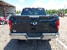 1FTEW1EG9GF****** Destrozados 2016 Ford F-150