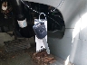 2HKYF18543H****** Salvamento 2003 Honda Pilot en Estado de Maryland