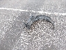 1G8AJ55F97Z****** Destrozados 2007 Saturn Ion en Estado de Indiana
