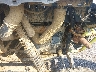 3NSNAM996LH****** Usados 2020 Polaris RZR en Rec Rides Online Exclusive