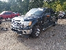 1FTFW1EF6EF****** Used and Repairable 2014 Ford F-150 in Jackson