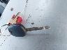 4T1BF1FKXFU****** Salvage 2015 Toyota Camry in Florida State