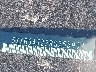5XXG64J22RG****** Usados 2024 Kia K5