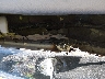 5YFBURHEXKP****** Salvage and Wrecked 2019 Toyota Corolla in Miami North