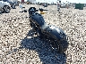 5VPHA36N0D3****** Salvage and Repairable 2013 Victory Hammer in Rec Rides Online Exclusive