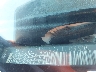 3GCEK13M58G****** Usados 2008 Chevrolet Silverado 1500 en Tifton