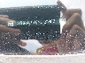 3GNAXUEV6NL****** Used 2022 Chevrolet Equinox in Portage