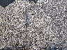 2C4RC1BG6DR****** Wrecked 2013 Chrysler Town & Country in Kentucky State