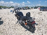 1HFSC1802VA****** Salvage and Repairable 1997 Honda VT1100 (Shadow Spirit 1100) in Fort Myers