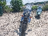 1HFSC1802VA****** Used and Repairable 1997 Honda VT1100 (Shadow Spirit 1100) in Florida State
