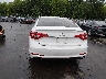 5NPE34AF1FH****** Destrozados 2015 Hyundai Sonata