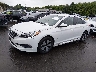 5NPE34AF1FH****** Usados y Reparables 2015 Hyundai Sonata en Hartford