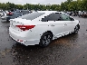5NPE34AF1FH****** Salvamento y Destrozados 2015 Hyundai Sonata en Estado de Connecticut