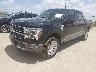 1FTFW6LD2SF****** Usados y Reparables 2025 Ford F-150 en Dream Rides