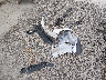 JTMRFREV0JJ****** Destrozados 2018 Toyota RAV4 en Estado de Ohio