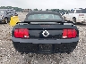 1ZVFT85H565****** Used 2006 Ford Mustang