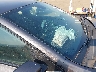 1C3CDFBA2GD****** Salvage and Repairable 2016 Dodge Dart in Spokane