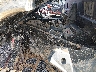 H0MUBWX59S8****** Wrecked 2025 Segway Ut10 P Crew in Rec Rides Online Exclusive