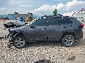 4T3MWRFV8NU****** Salvage 2022 Toyota RAV4 Hybrid