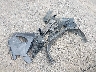 4T3MWRFV8NU****** Wrecked 2022 Toyota RAV4 Hybrid in Montana State