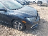 2HGFC2F63KH****** Reparables 2019 Honda Civic
