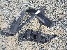 2T3RFREV9EW****** Wrecked 2014 Toyota RAV4 in Virginia State