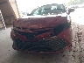 4T1F31AK0LU****** Destrozados 2020 Toyota Camry en Estado de Tennessee