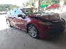 4T1F31AK0LU****** Salvamento y Destrozados 2020 Toyota Camry en Chattanooga