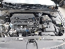 KMHLM4DG4SU****** Reparables 2025 Hyundai Elantra en Charlotte