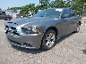 2B3CL3CG4BH****** Usados y Reparables 2011 Dodge Charger en Long Island