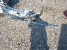 5FNRL38988B****** Wrecked 2008 Honda Odyssey in Virginia State